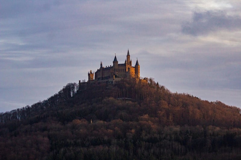 Mystical Forest Castle