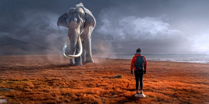 Fantasy landscape with mystical elements