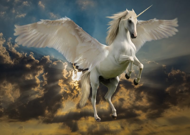 Unicorn in a magical forest